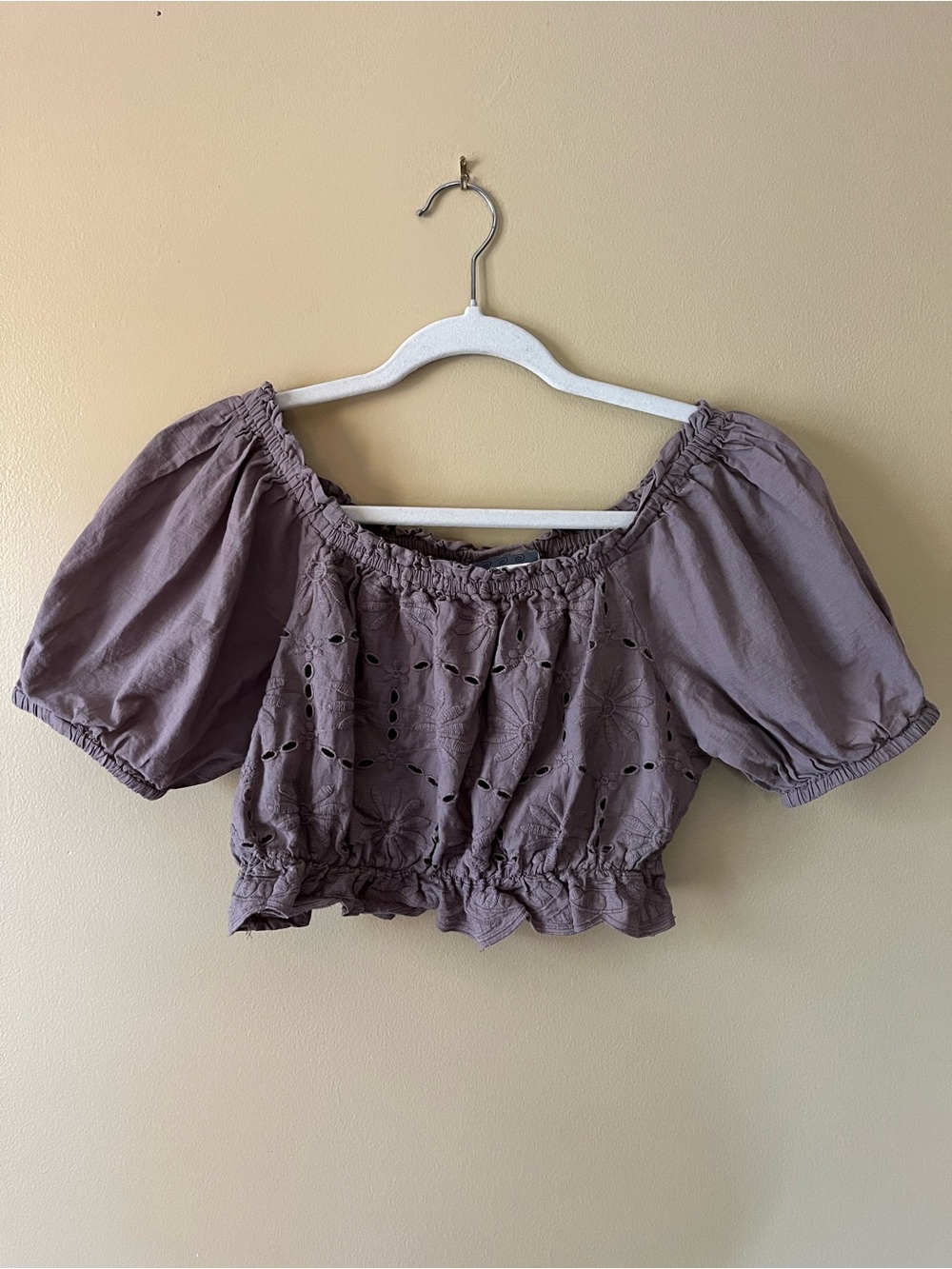 Off-Shoulder Eyelet Crop Top in Mauve